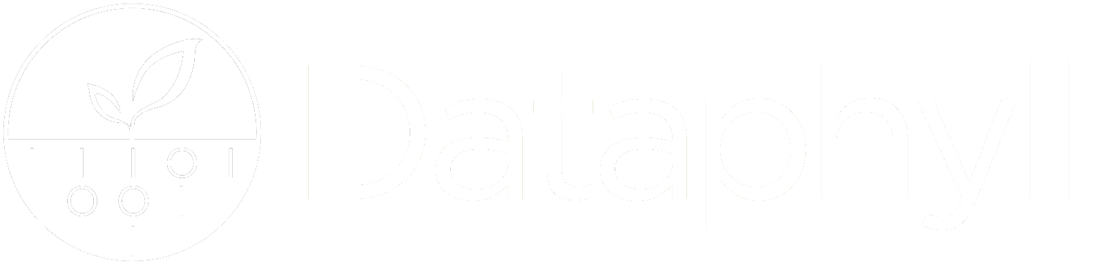 Dataphyll Dataphyll