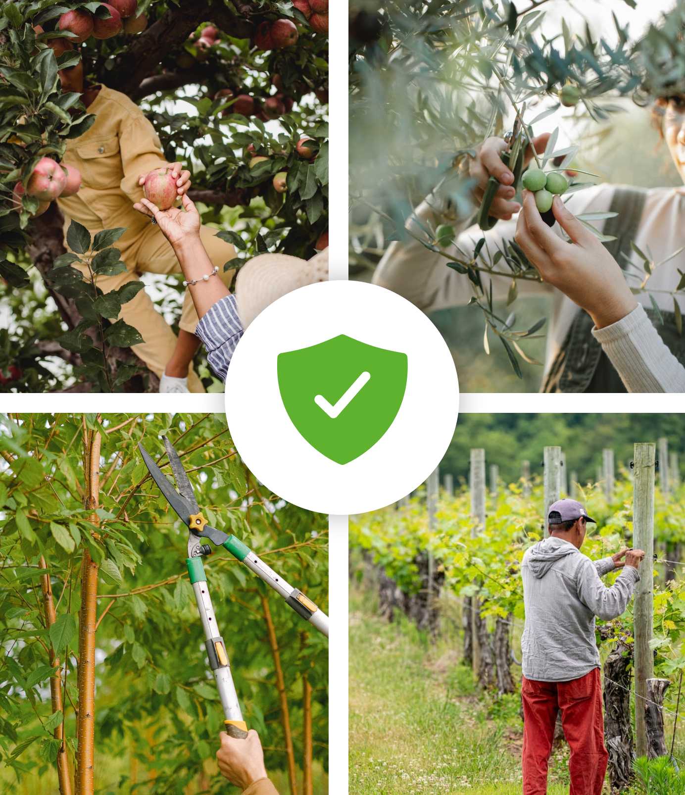 Payroll software compliance for Horticulture Payroll software compliance for Horticulture