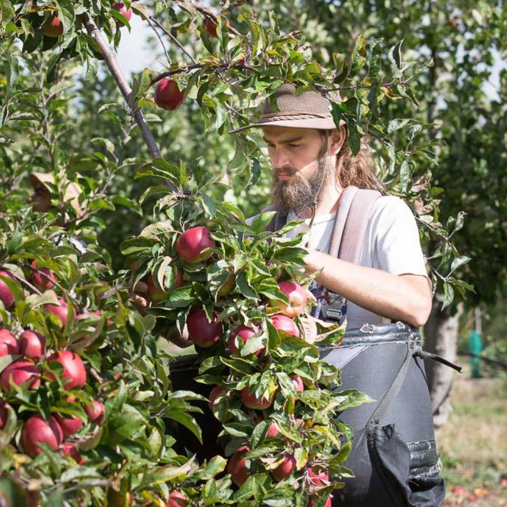 Payroll for Horticulture Payroll for Horticulture